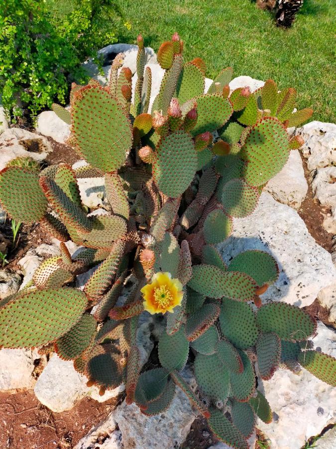فيلا Il Giardino Deluxe Lizzanello المظهر الخارجي الصورة